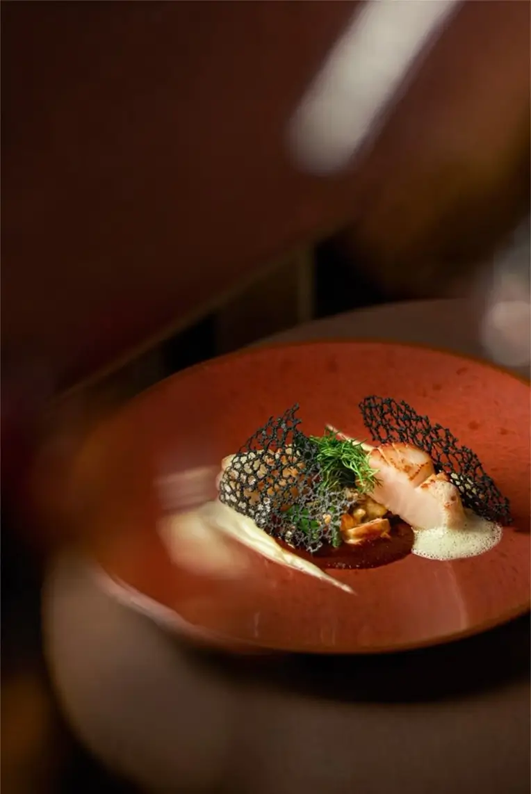 تجربة حفاوة الفاخرة